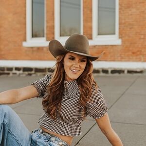 NWOT Brown Gingham Crop Top